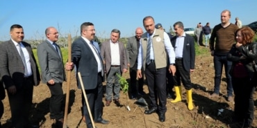 Mudanya’da ilek incir dikimi yapıldı