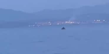 BURSA'DA YUNUS BALIKLARININ ŞOVU KAMERALARDA