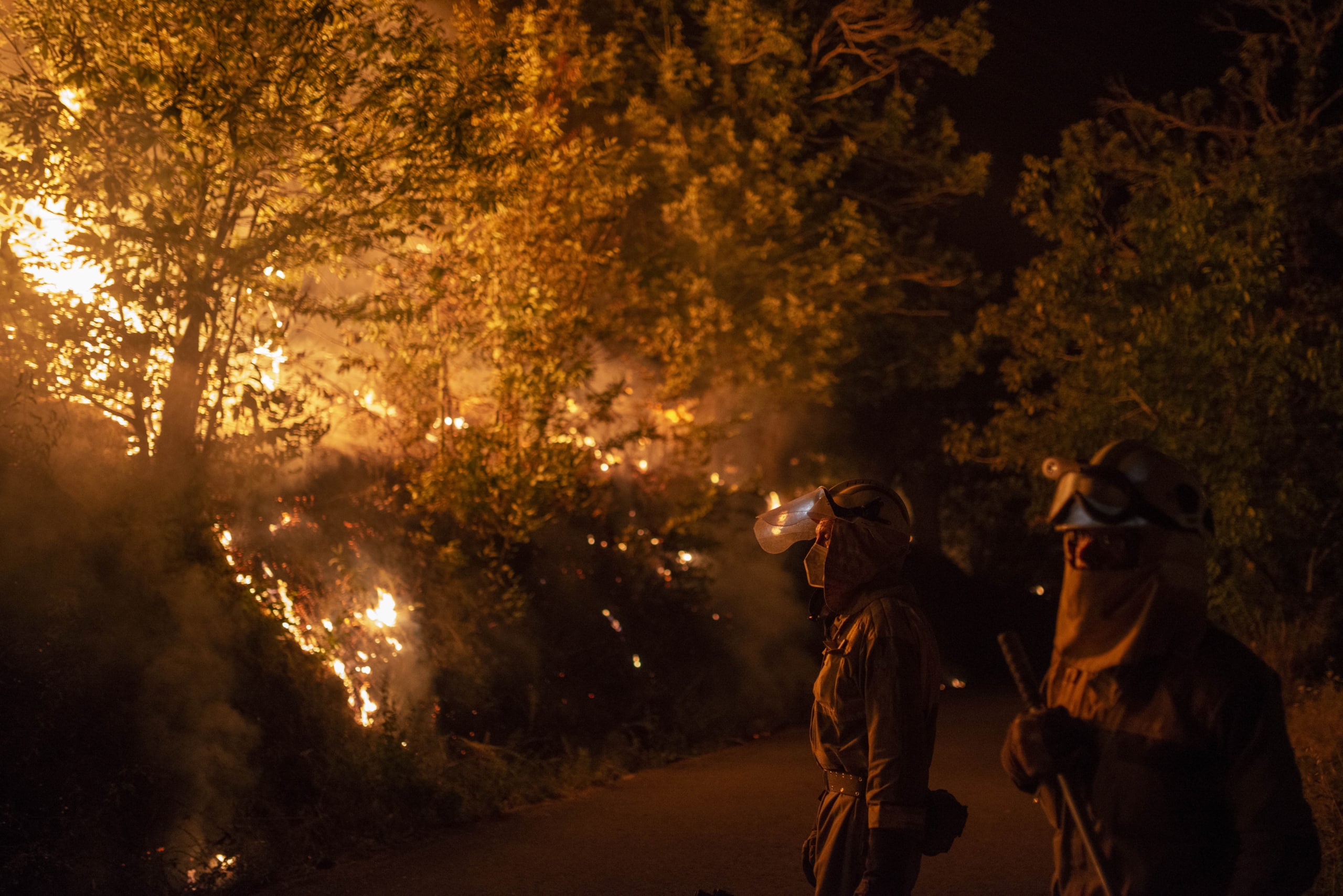 Forest fire in Galicia, Spain
