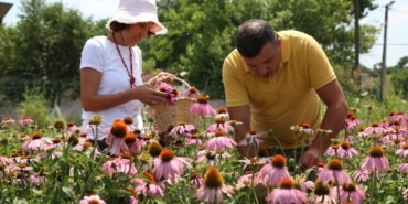 NİLÜFER'İN TIBBİ-AROMATİK BİTKİ İŞLEME TESİSİ PROJESİ'NE BEBKA'DAN HİBE