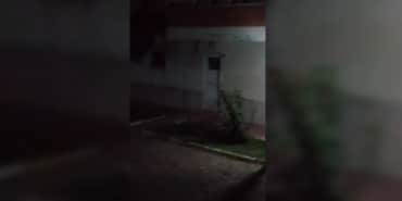 bsklt