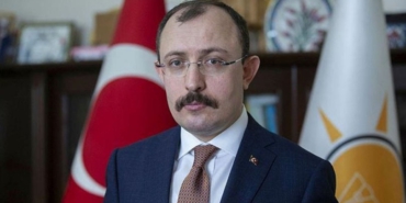 3046408_810x458