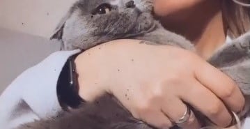 KEDİSİNİ BULANA 10 BİN TL ÖDÜL VERECEK BİR HAFTADIR HER YERDE KEDİSİNİ ARIYOR