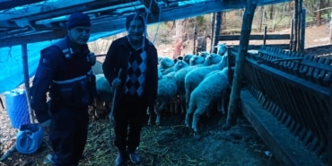 25 KOYUNU KAYBOLAN KADININ YARDIMINA JANDARMA YETİŞTİ