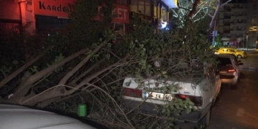 BURSA'DA ŞİDDETLİ LODOSUN ETKİSİYLE KIRILAN AĞAÇ, PARK HALİNDEKİ OTOMOBİLİN ÜZERİNE DÜŞTÜ