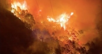 ALANYA'DA ORMAN YANGINI ŞİDDETLİ RÜZGAR SEBEBİYLE YAYILAN YANGINA KARADAN MÜDAHALE EDİLİYOR