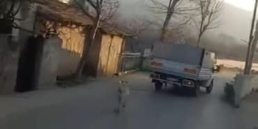 WhatsApp-Image-2023-01-05-at-17.46.21