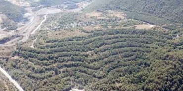 MUĞLA VALİLİĞİ: "AKBELEN’E İZİN SAHİBİ 130 BİN FİDAN DİKECEK"