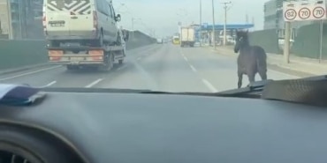 BURSA CADDELERİNDE BAŞIBOŞ TAY ADETA ARAÇLARLA YARIŞTI