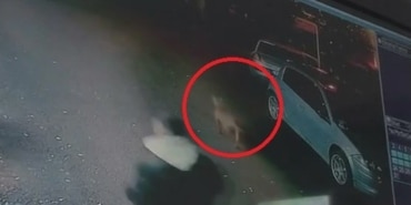 (ÖZEL) BAŞIBOŞ KÖPEKLER 2 ÇOCUĞU ISIRDI.. BURSA'DA BAŞIBOŞ KÖPEK BİR ÇOCUĞUN ELİNİ, DİĞERİNİN KASIĞINI ISIRDI