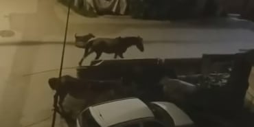 BURSA'DA SOKAKLAR GÜNDÜZ İNSANLARA, GECE ATLARA KALIYOR