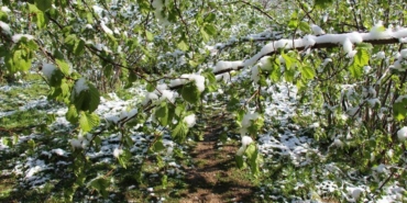 Zirai-don-uyarisi-1
