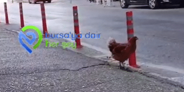 Ekran-goruntusu-2024-08-19-123051