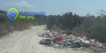 Ekran görüntüsü 2024-08-29 180825