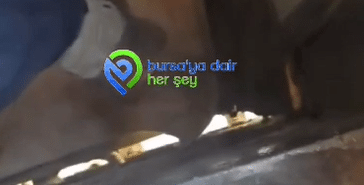 Ekran görüntüsü 2024-10-11 091851