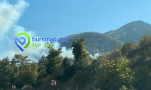 Ekran görüntüsü 2024-10-29 155620