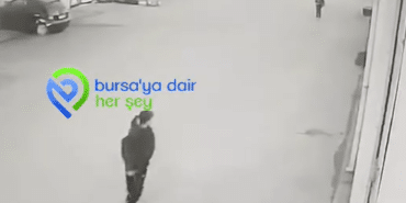Ekran görüntüsü 2024-11-21 102559