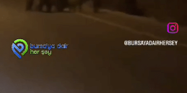 Ekran görüntüsü 2024-11-26 093354