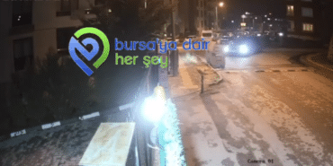 Ekran görüntüsü 2024-12-23 085429