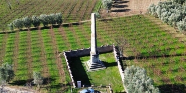AW374191_01