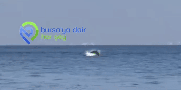 Ekran görüntüsü 2025-01-18 164755