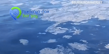 Ekran görüntüsü 2025-01-24 115813