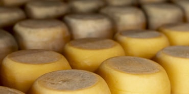 variety-rustic-cheese-wheels