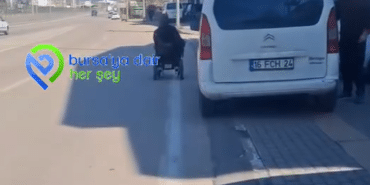 Ekran görüntüsü 2025-03-04 163633