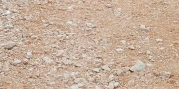 AW443682_01