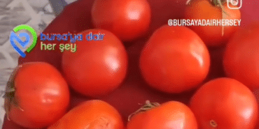 Ekran görüntüsü 2025-04-20 181025