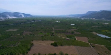 AW447266_01
