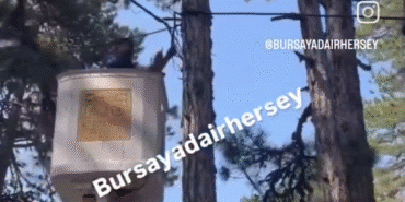 Ekran görüntüsü 2025-06-07 192319