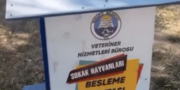 Ekran görüntüsü 2025-06-20 125802