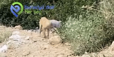 Ekran görüntüsü 2025-06-29 220842