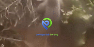 Ekran görüntüsü 2025-07-31 145733