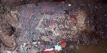 İZNİK'TE BÜYÜK KEŞİF ROMA DÖNEMİNE AİT SARAY OLDUĞU İDDİA EDİLİYOR PAPA'NIN GELECEĞİ İZNİK'TE ROMA DÖNEMİNE AİT MOZAİK VE MEZARLAR BULUNDU