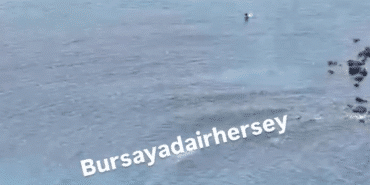 Ekran görüntüsü 2025-08-03 171342