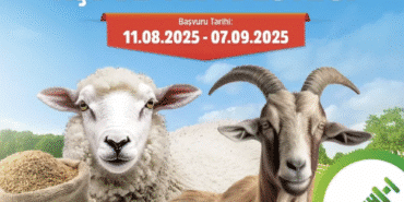 Ekran görüntüsü 2025-08-11 171601