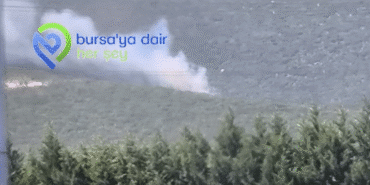 Ekran görüntüsü 2025-08-12 155543