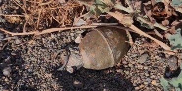 İZNİK GÖLÜ KIYISINDA EL BOMBASI PANİĞİ