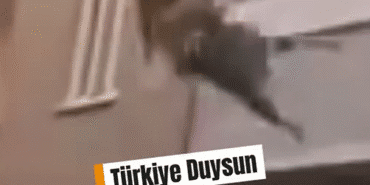 Ekran görüntüsü 2025-09-03 094810