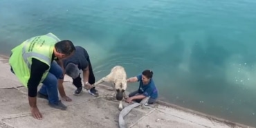 İKİ ÇOCUKLU KAHRAMAN ANNE FIRAT'A DÜŞEN KANGALI BÖYLE KURTARDI GÜNEYDOĞU TURUNA ÇIKAN BURSALI AİLEDEN FIRAT NEHRİNDE KÖPEK KURTARMA OPERASYONU İKİ ÇOCUKLU ANNE, FIRAT NEHRİNE DÜŞEN KANGAL KÖPEĞİNİ KURTARMAK İÇİN HİÇ DÜŞÜNMEDEN KANALA İNDİ, KENDİSİ DE MAHSUR KALINCA EŞİ SULAMA TANKERİNİN HORTUMU İLE HEM KÖPEĞİ HEM DE EŞİNİ KURTARDI