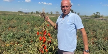 DEDESİ SEÇİMDE MUHTAR OLDU ADINA "SEÇİM" KONULDU