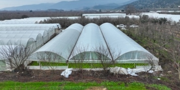 LODOSTAN ZARAR GÖREN SERALARA BÜYÜKŞEHİR DESTEĞİ