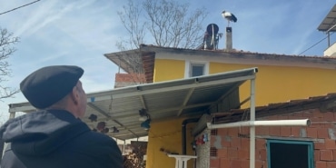 LEYLEK KÖYÜNDE BÜYÜK SEVİNÇ: EŞİ GELDİ, HERKES YAREN'İ BEKLİYOR YAREN LEYLEĞİN EŞİ LEYLEK KÖYÜNDEKİ YUVAYA GELDİ BALIKÇI ADEM YILMAZ, YAREN LEYLEKLE 15'İNCİ KEZ BULUŞMAYI BEKLİYOR