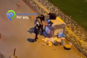 Ekran görüntüsü 2026-02-13 152935