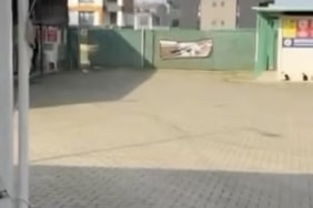 GEMLİK BELEDİYESİNİN UMURBEY'DEKİ BARINAĞINI ÖNÜNDE TOPLANAN HAYVANSEVERLER İÇERİYE ALINMADI