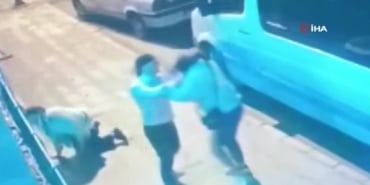 -4f335231-efa9-4779-aef9-81b5332a82c9-frame-at-0m19s-1775394902