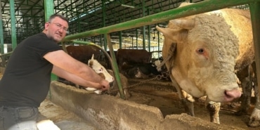 BURSA'DA KURBAN HAREKETLİLİĞİ: TONLUK BOĞAYI 400 BİN LİRAYA SATTI