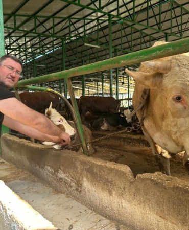 BURSA'DA KURBAN HAREKETLİLİĞİ: TONLUK BOĞAYI 400 BİN LİRAYA SATTI
